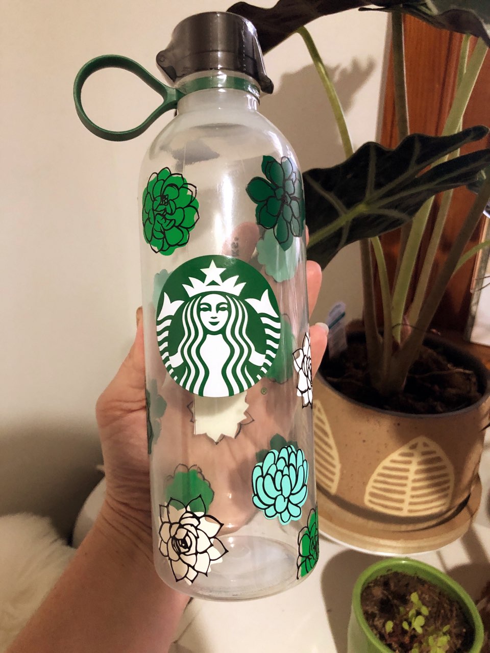 Succulent Starbucks Water Bottle